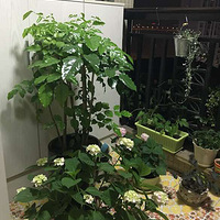 ����̨ ������̨�Ĵ���