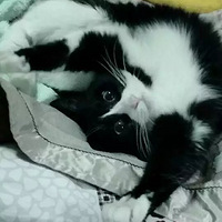 ����˵�ҹԲ���~