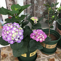 �Ҽ���̨�����ա���