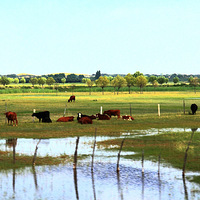 ���������ɳ���������ҵ��ֻ�ͼ��