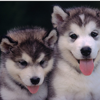 2�����ȵ���