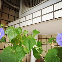 �ֵ�ǣţ��������~