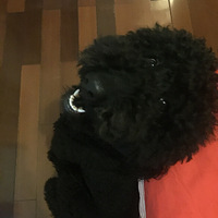 �޹������Ҹ��Ϲ�