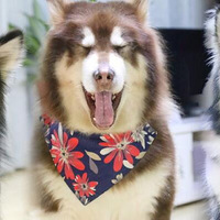 �׸����������������ǣ�����ʱ���£���Ҫ���ղأ�����������