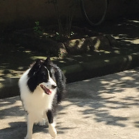 ��ҿ����ҵı���