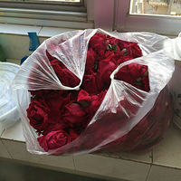 ����������õ�彴�̳�