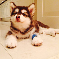 818΢���ϵ��ҹ�ע�ġ�������