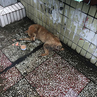 �������վ����