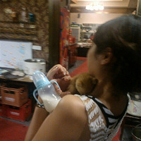 ɹɹ�ҡ�����ϵĳ��