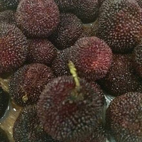 ��ʵ���ҳ�����ָ�׻��и����ܾ���Ū�ֵ�