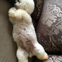 ���������϶�ͯ����