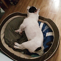 �Ҽҹ����߶����������ǰ�æת���£�