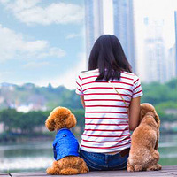 �����Ѱ�æ�����