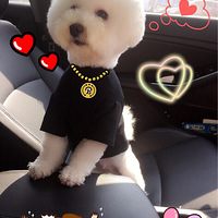 ��̫��������