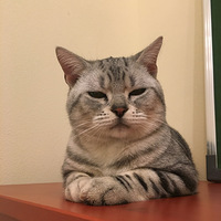 ���ж������Ҽҵ���ֻ������