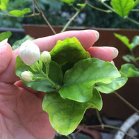 һ����Ѭһ���� �����̾�����