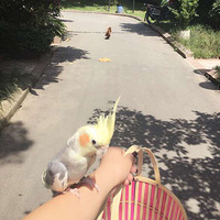 ����С�һ���ɽ��ɹ̫��