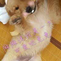 �������Ҳ���������ǣ����Ǳ��������˲Ż�