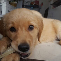 ���飬����ĥĥ���������ٸ��ҺóԵ�