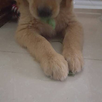 ��һ�δ���