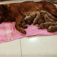 �������ŵ�һ��������ӭ����ʮ��������С��