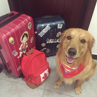 ������ô����Ҫ����ȥ�������°���2016�ϰ����μ�