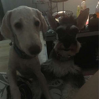 ��������׵ĳ���ҽԺ ����ѩ����Ҫ������������ ���Ƽ���