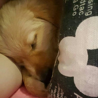 ����Ļ���