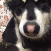 ����һ����õķ����ı���