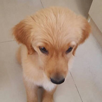 �����»��ڳ��޹�������