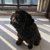 ���������������ҵ�������ã������ҵ���Ϊ���Ҹ��µ�����