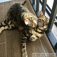 �����û���