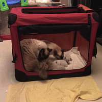 ��żè��������20����ˣ�һ��һ������