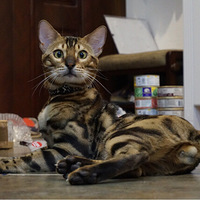 SMȦ�������е����������