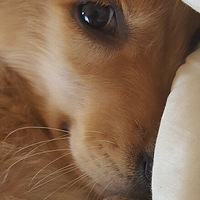 ��������С�����ˣ�����С������