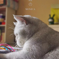 hey hey hey hey monica��