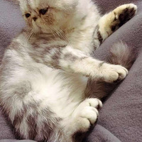 ���ж�λ��С��~