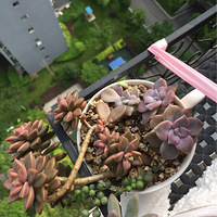 ����������𣿹�������