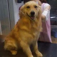 ���æ���ҵܵܵĹ�����