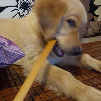 ���Ƶ��ճ�����