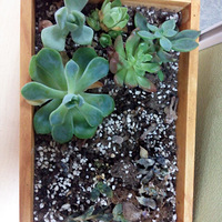 Ϊʲô�����Ķ��ⶼ���ˣ������ָ�̣�