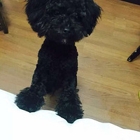 �ø��ö���ʵ���ģ�