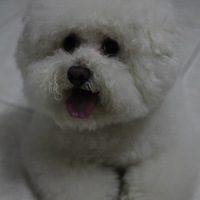 ����ķ�����ү - ��ʵ���Ǿܾ�������̫���� �������������