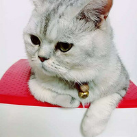 ����������~~~�״�ү�����