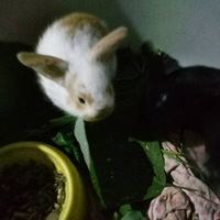 �����ó�����