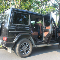 2016ռǡһֻɫķ飬13G500