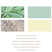 ʮװΡβ뺣 | Wood Sage & Sea Salt