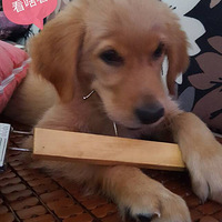 �����������������ձ�