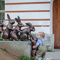 ��Щ���飬Ҳֻ�к��Ӳ����ó�����