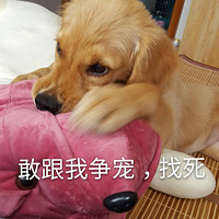 ����ɭ��һ��